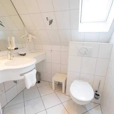 - Restaurant Traube Hotel *