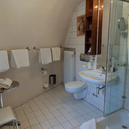 Hotel - Restaurant Traube Neuffen