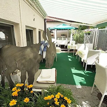 - Restaurant Traube 酒店 *